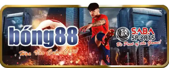 Đá Gà Thomo Trực Tiếp tại Lucky10